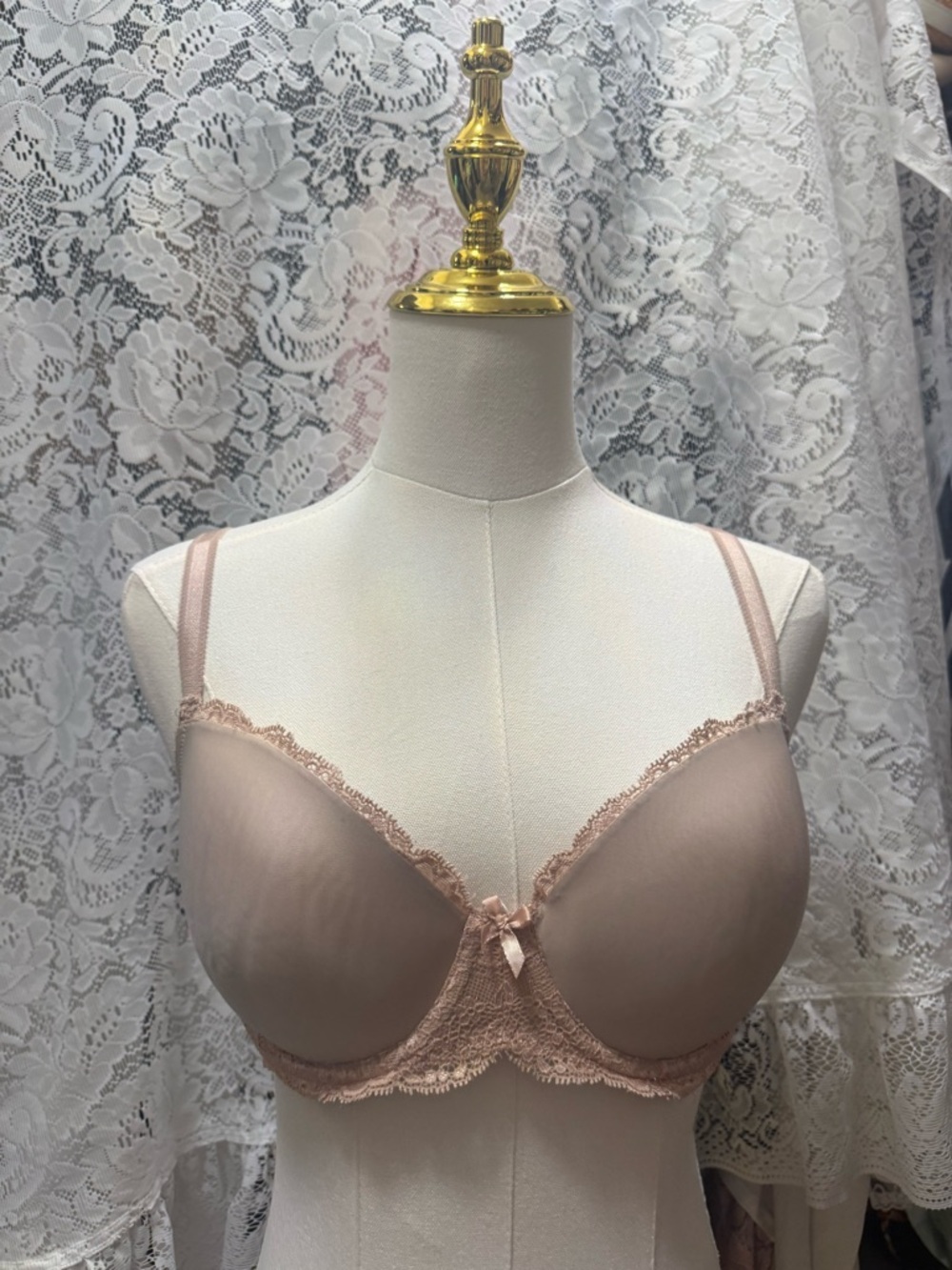 Victoria's Secret Dusty Blush Lace-Trim Underwire Bra